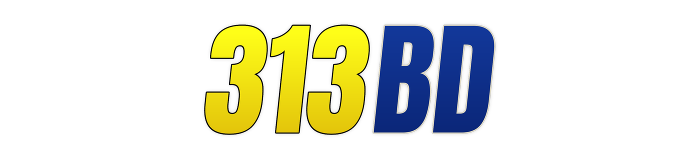313bd লোগো